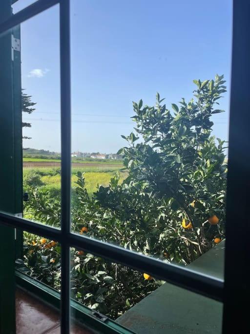 La Macadamia Villa La Laguna  Ngoại thất bức ảnh